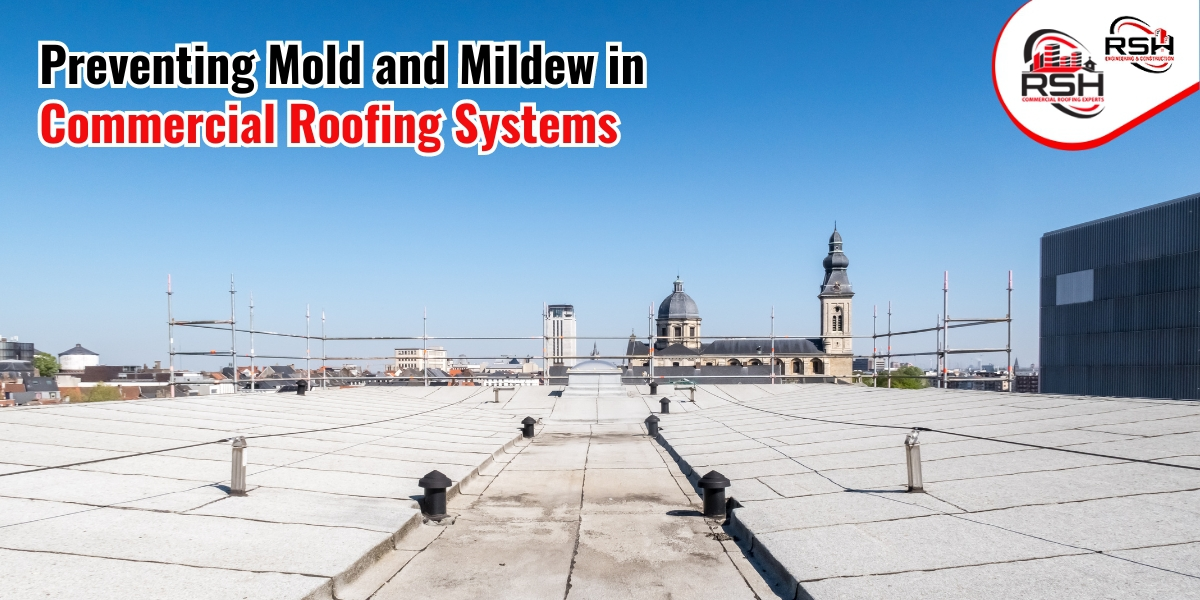 mold prevention in commercial roofing