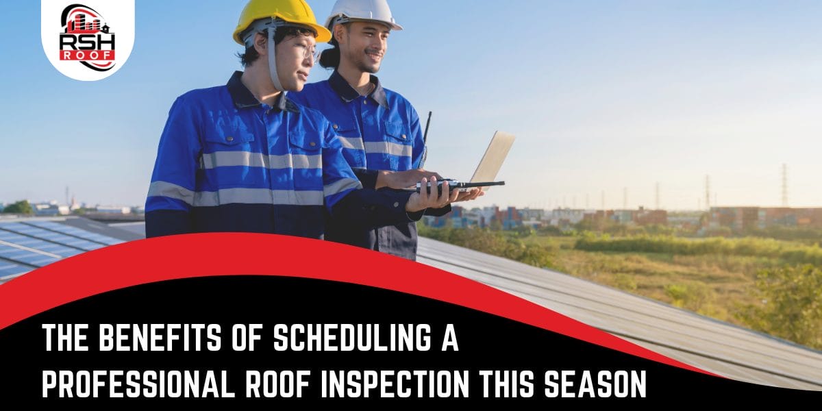professional roof inspection